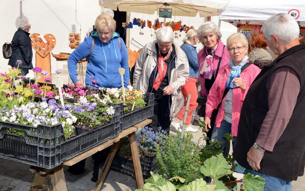 Tulpenblüte Gönningen 2014