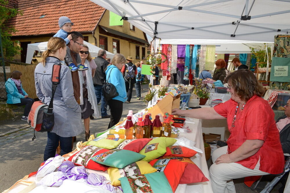 Tulpenblüte Gönningen 2014