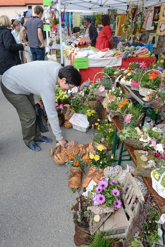 Tulpenblüte Gönningen 2014