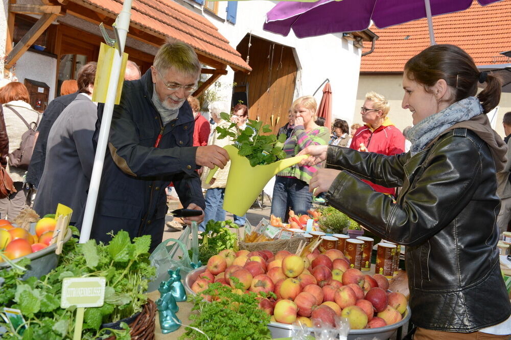 Tulpenblüte Gönningen 2014