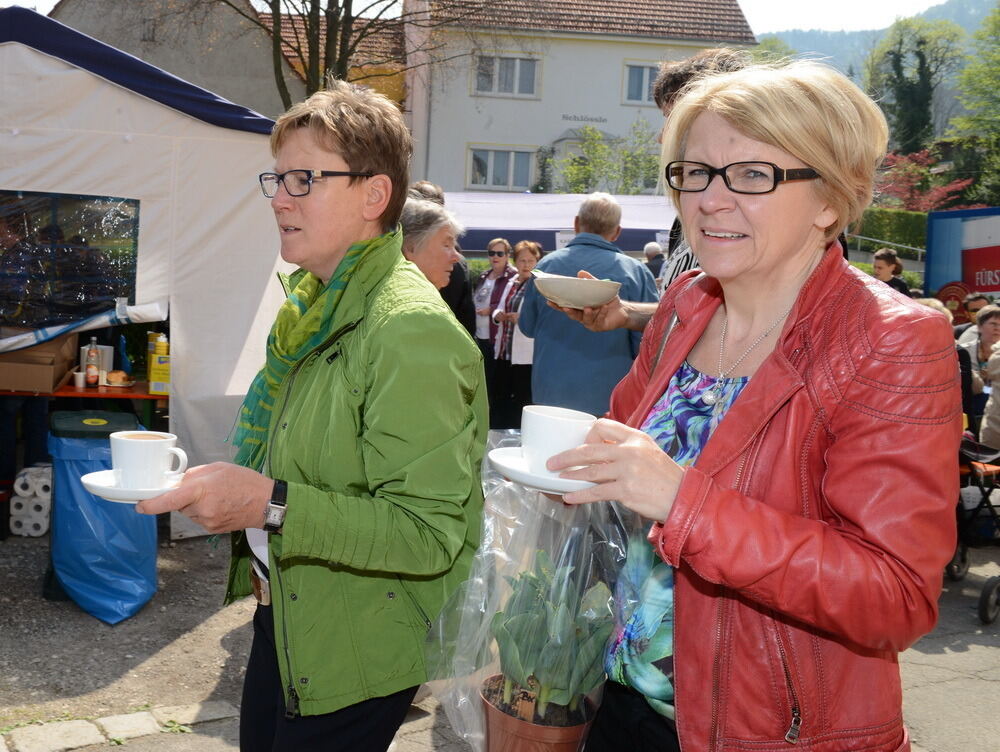 Tulpenblüte Gönningen 2014