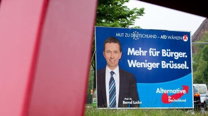 Ein AfD-Plakat für die Europawahl. Foto: Julian Stratenschulte