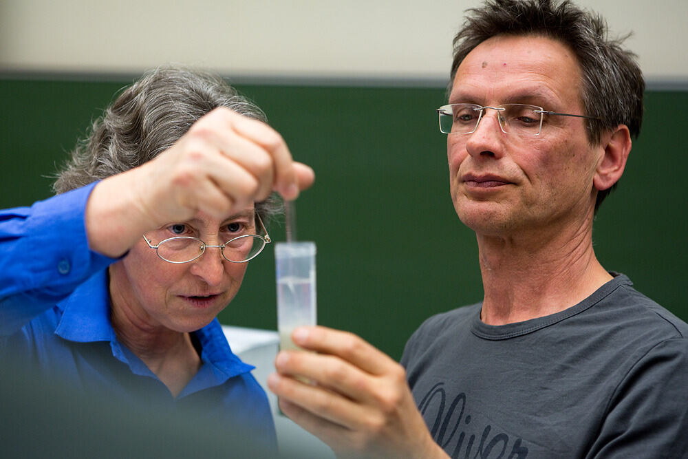 Tübinger Fenster für Forscher 2014