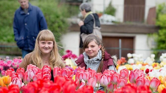 Die jungen Tulpenfreundinnen Nina (links) und Katharina bestaunen Vielfalt und Farbenpracht auf Fetzers Tulpenfeld.  FOTO: TRINK