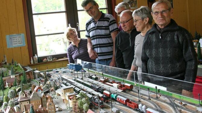 Das unwirtliche Wetter trieb die Besucher in den Honauer Bahnhof. Dort standen faszinierende Modellanlagen. FOTO: LPT