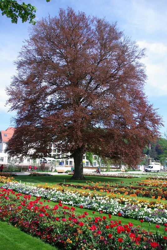 Landesgartenschau Schwäbisch Gmünd 2014