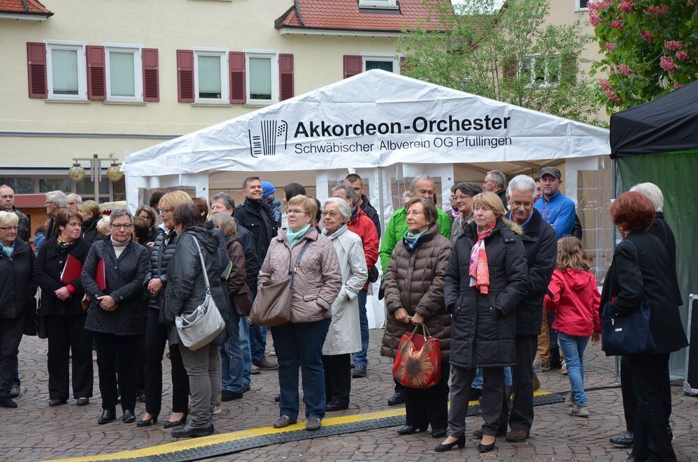 Maimarkt Pfullingen 2014