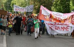 Hebammen demonstrieren in Tübingen.