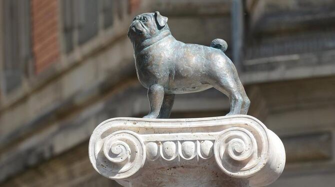 Der neue Mops auf der Loriot-Gedächtnissäule am Eugensplatz.