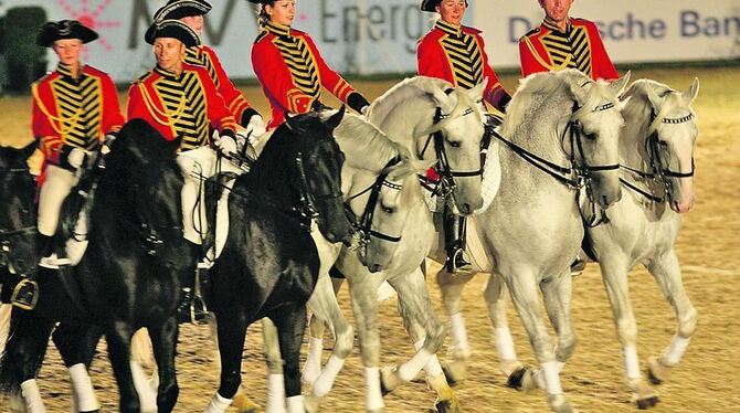 Die deutschen Staatsgestüte gratulieren Marbach mit einer besonderen Quadrille zum 500-jährigen Bestehen. FOTO: PR