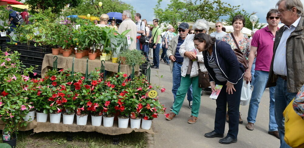 Garden Life Reutlingen 2014