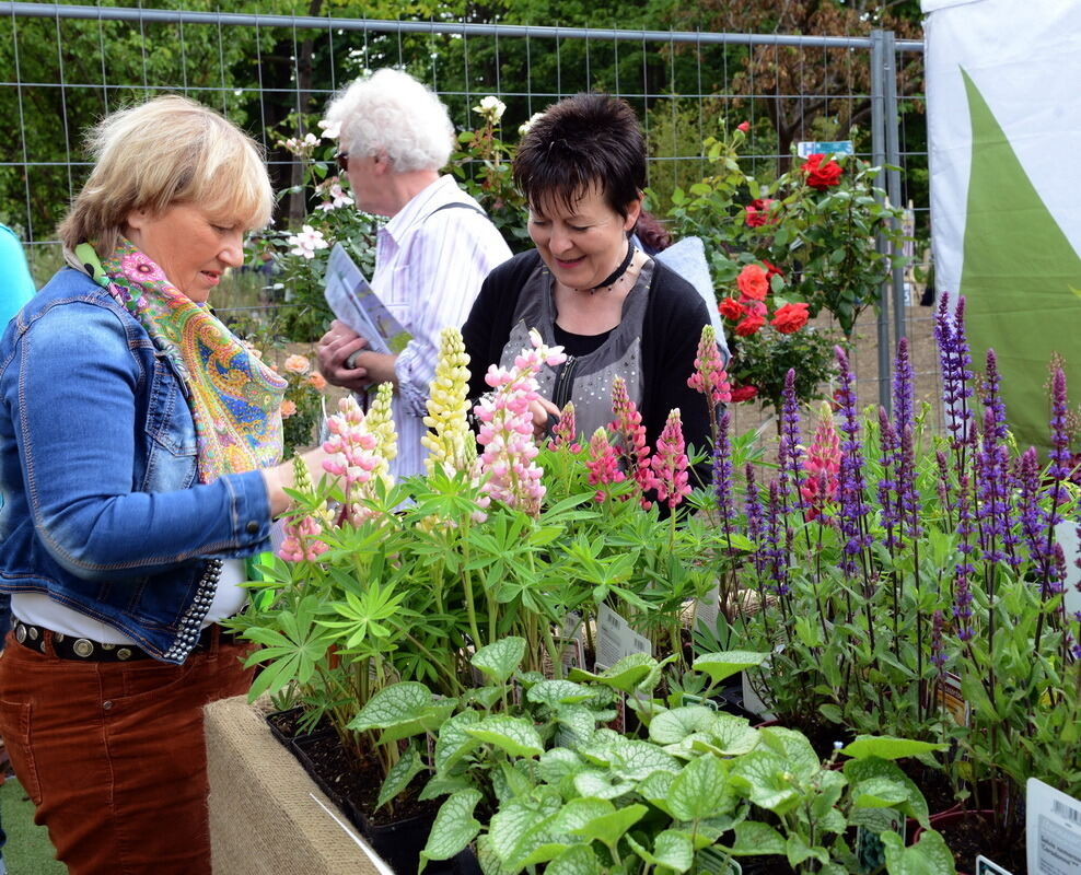 Garden Life Reutlingen 2014