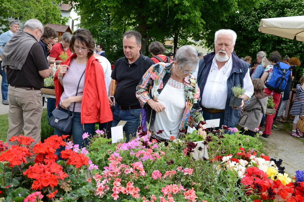 Garden Life Reutlingen 2014