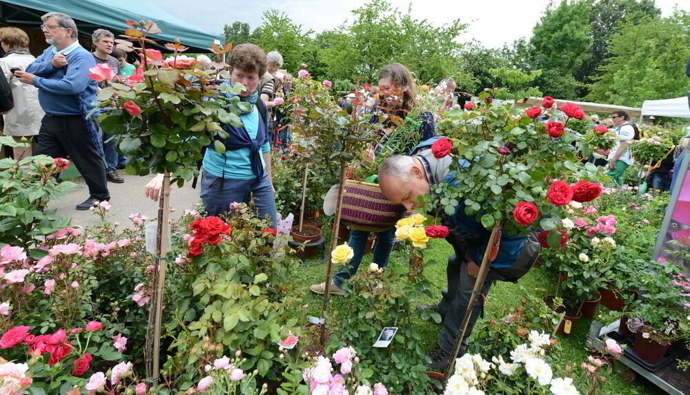 Garden Life Reutlingen 2014