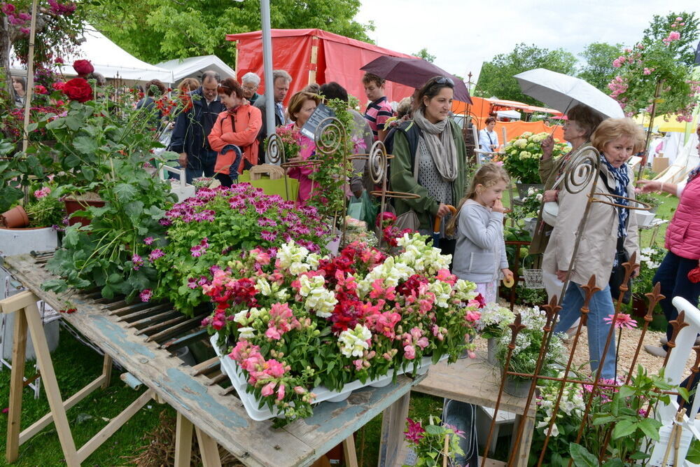 Garden Life Reutlingen 2014