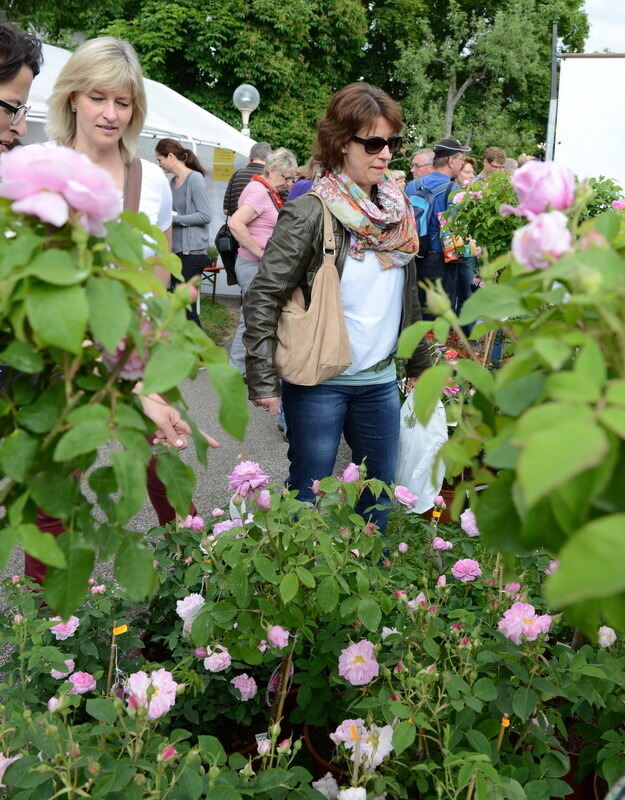 Garden Life Reutlingen 2014