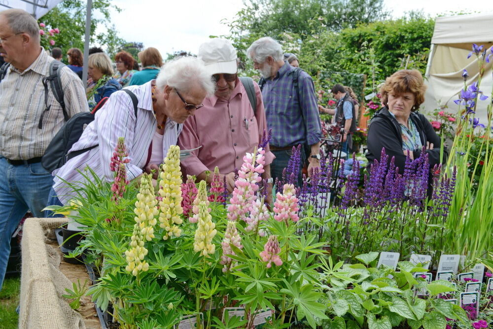 Garden Life Reutlingen 2014