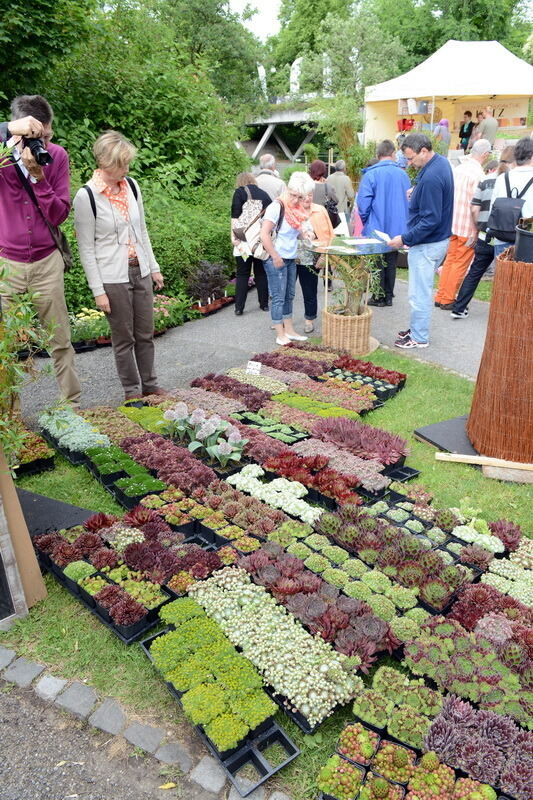 Garden Life Reutlingen 2014