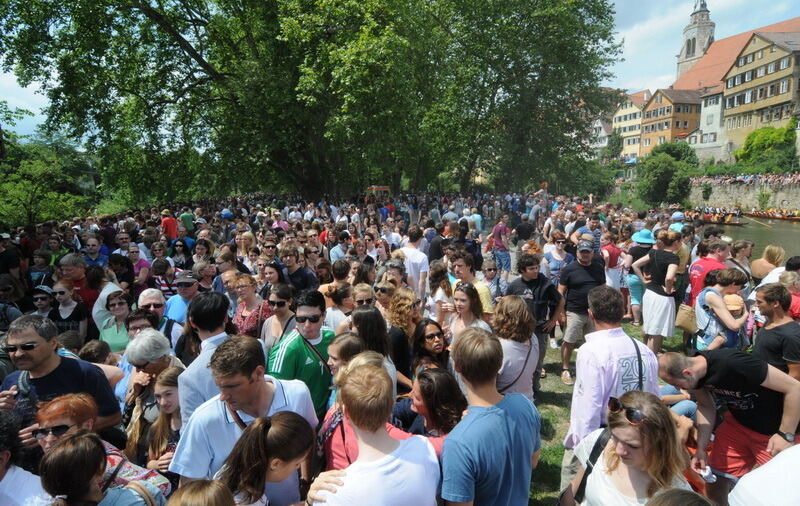 Stocherkahnrennen Tübingen 2014