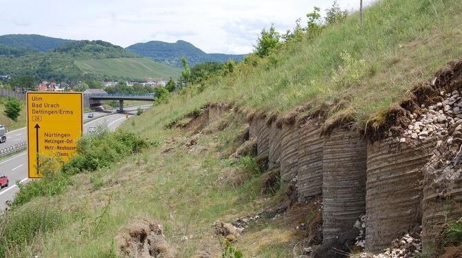 Die steile Neigung der Straßenböschung hat die Rutschung begünstigt. FOTO: PFISTERER