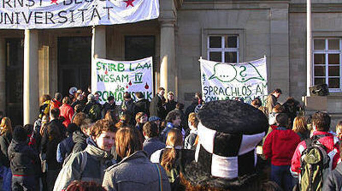 In den Forderungen hart, in der Stimmung eher locker: Rund 400 Studierende sammelten sich gestern vor der Neuen Aula in Tübingen