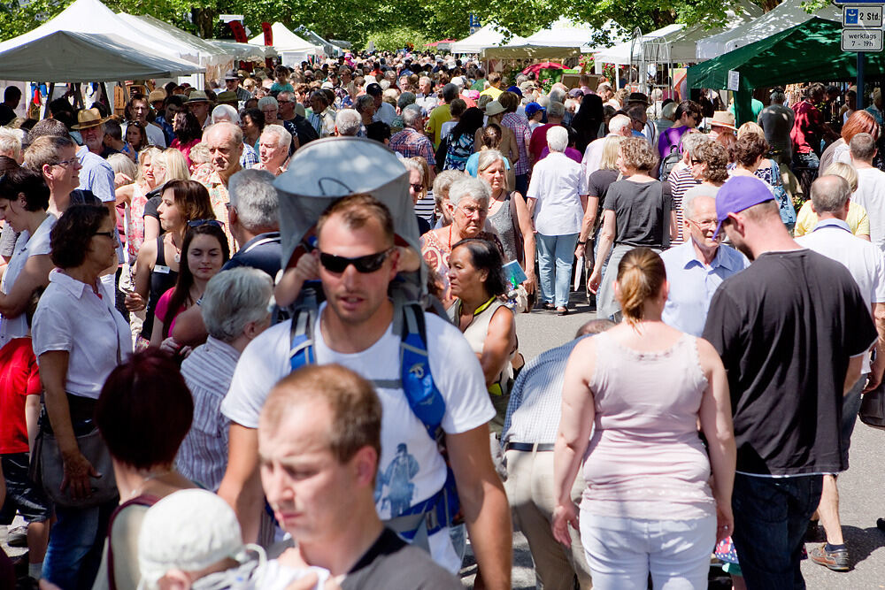 Rosenmarkt in Mössingen 2014