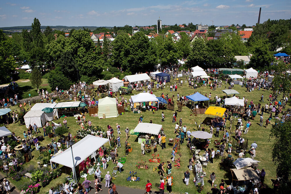 Rosenmarkt in Mössingen 2014