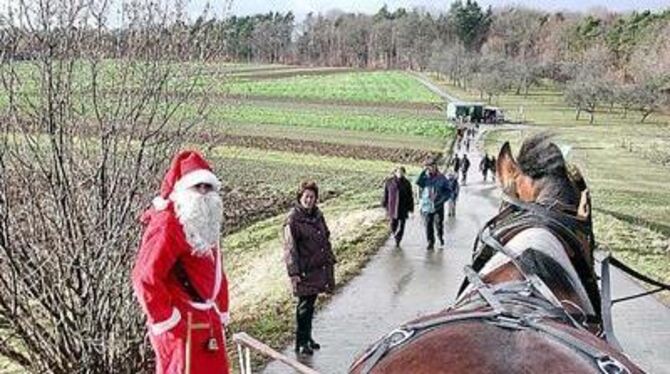 Ein schöner Pferderücken kann auch den Weihnachtsmann entzücken: Ob der Rauschebart per Anhalter zum Waldmarkt will? FOTO: SANDE