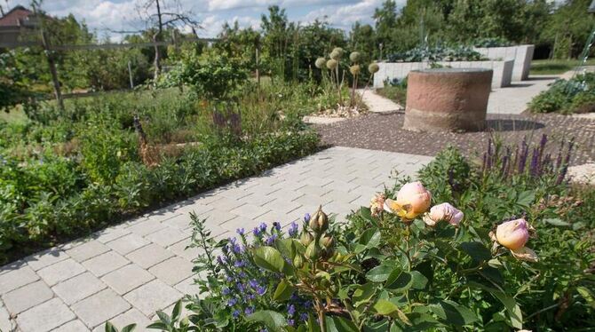 Voriges Jahr erneuert: der Mustergarten in der Reutlinger Pomologie. FOTO: TRINKHAUS