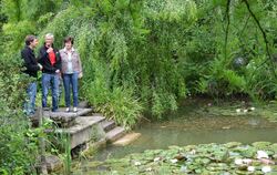 Austausch unter Gartenexperten: Thomas Mürdter (links) spricht mit seinen Besuchern über Seerosen. FOTO: HOMOLKA