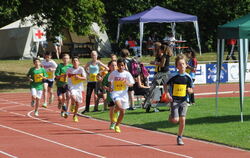 Jugend trainiert für Olympia Kreisfinale Juli 2014 Pliezhausen