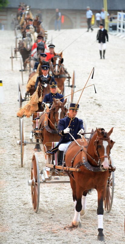 Marbach Classics 2014