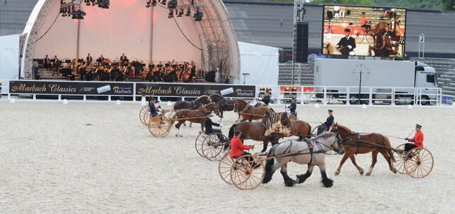 Marbach Classics 2014