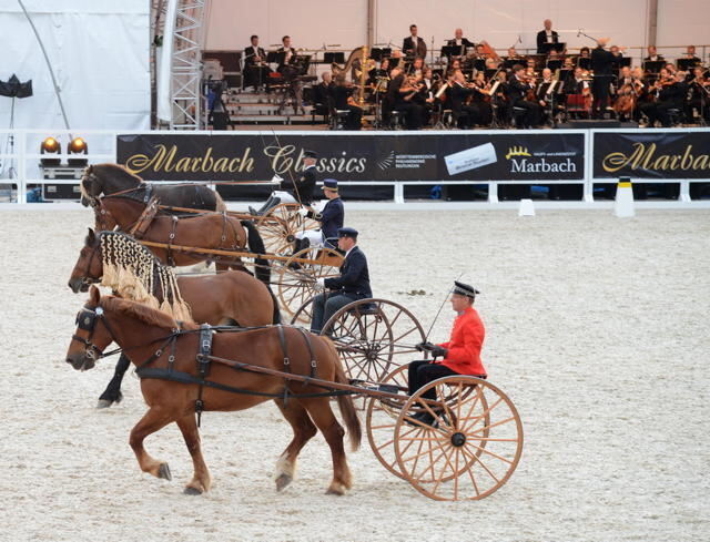 Marbach Classics 2014