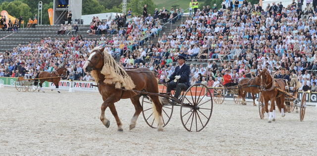 Marbach Classics 2014