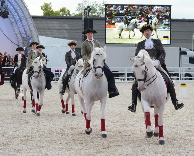 Marbach Classics 2014