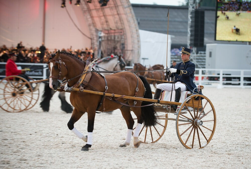 Marbach Classics 2014