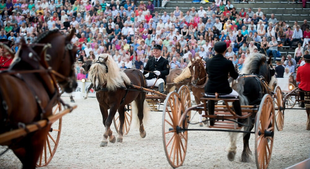 Marbach Classics 2014