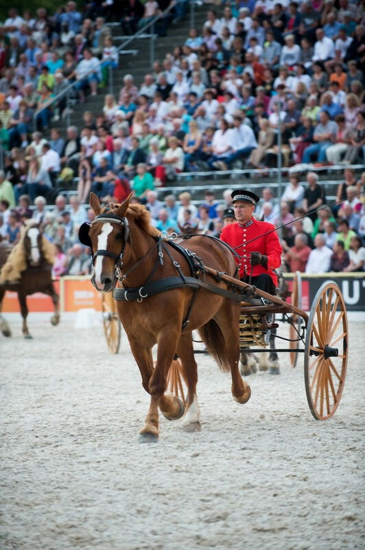 Marbach Classics 2014