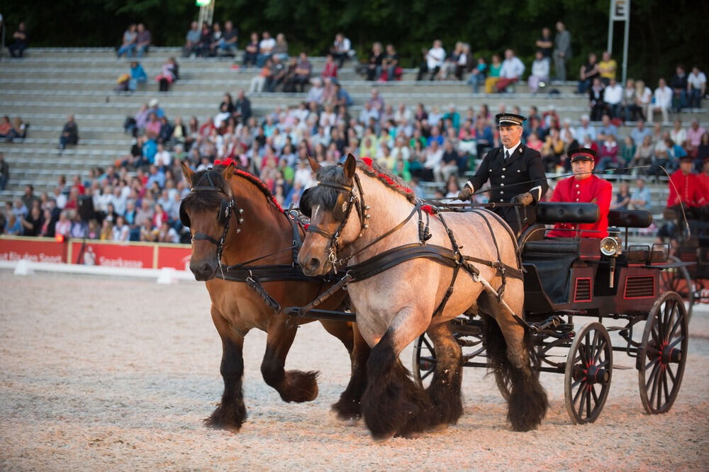 Marbach Classics 2014