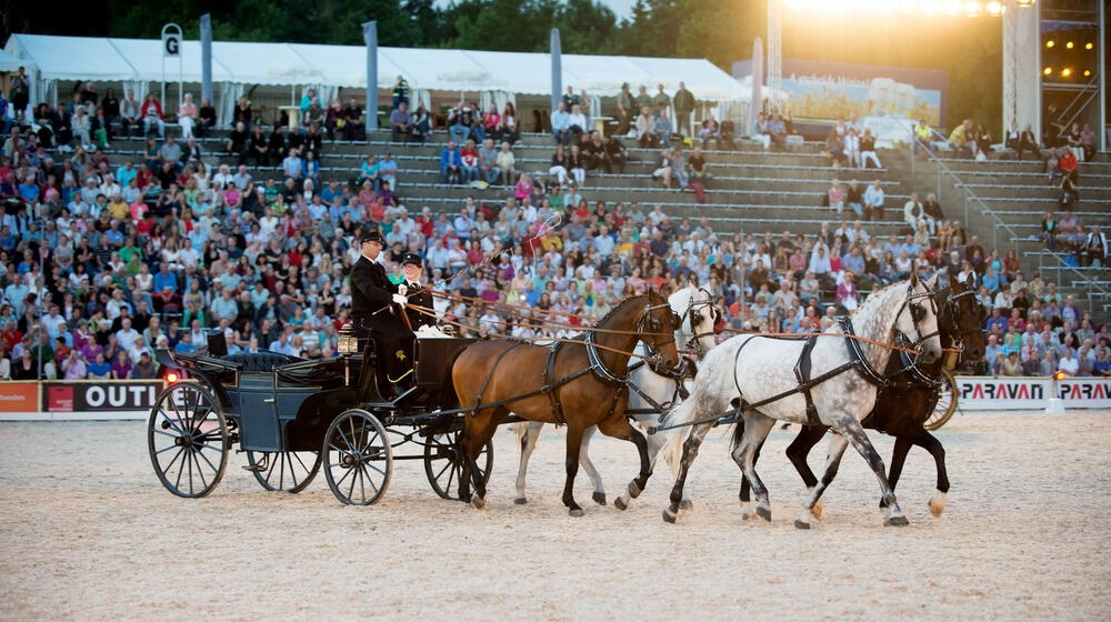 Marbach Classics 2014