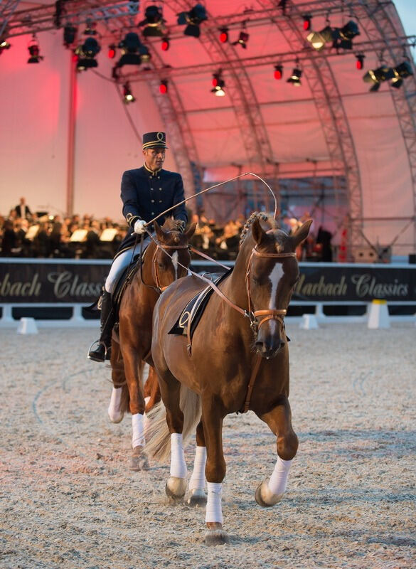 Marbach Classics 2014