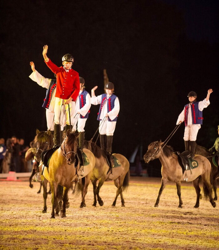 Marbach Classics 2014