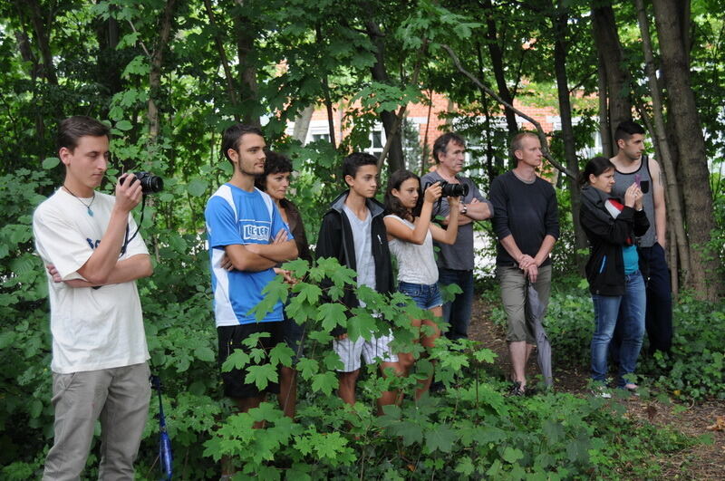 Parkour Competition im Jugendhaus Bastille