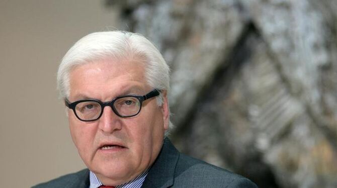 Außenminister Frank-Walter Steinmeier spricht mit seinem US-Amtskollegen John Kerry. Foto: Maurizio Gambarini/Archiv