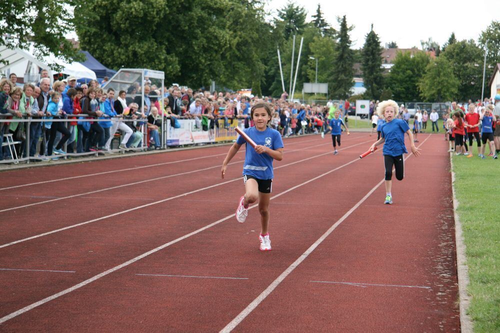 Lichtensteinlauf 2014