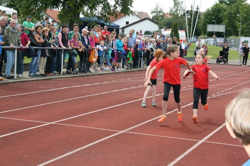 Lichtensteinlauf 2014