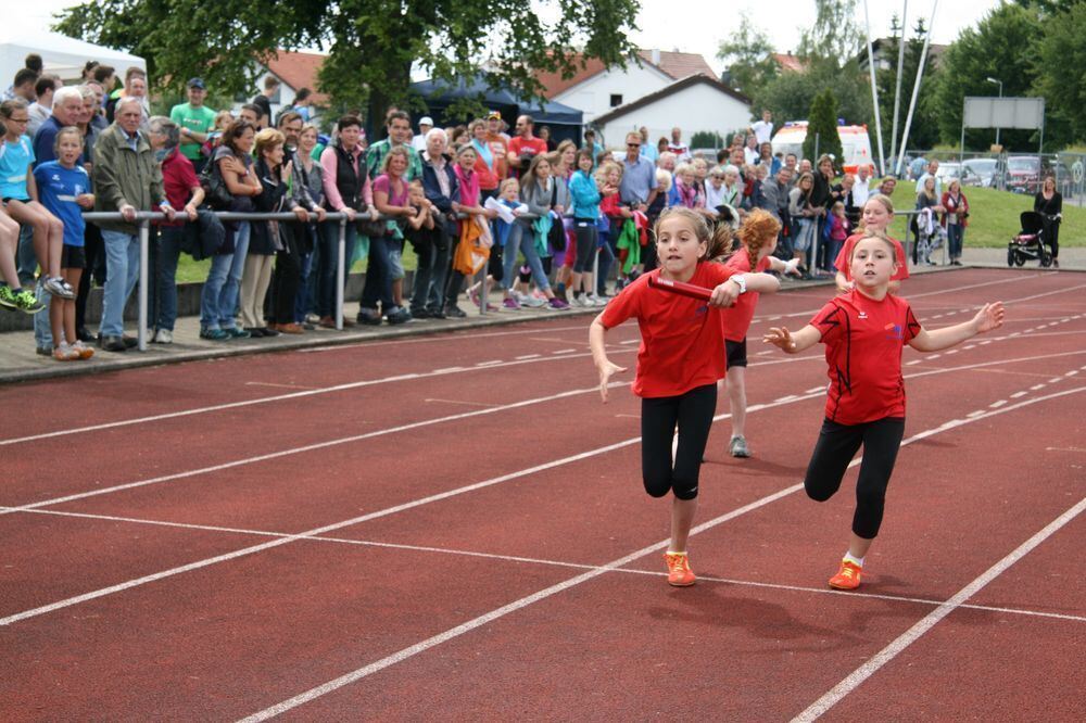 Lichtensteinlauf 2014