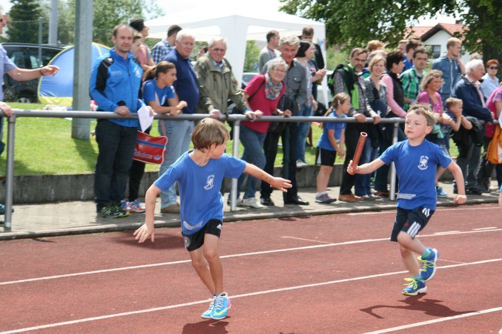 Lichtensteinlauf 2014