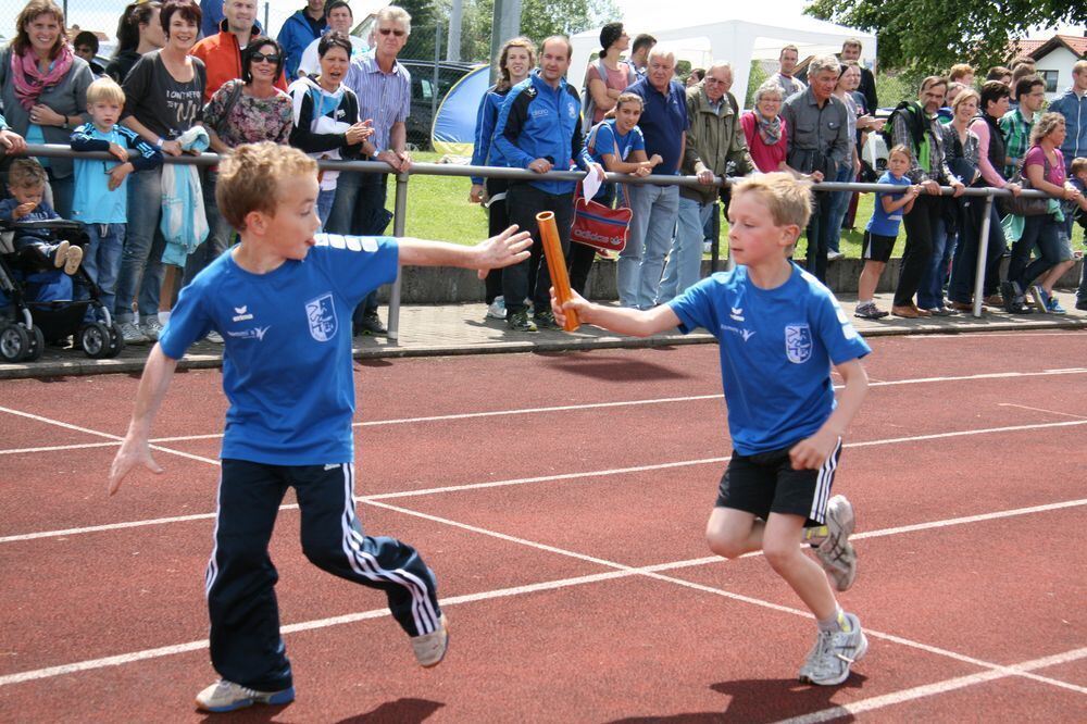 Lichtensteinlauf 2014